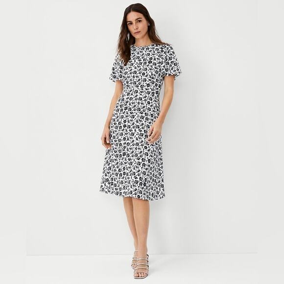 ANN TAYLOR | Petite Black White Floral Midi Dress | Size 2P - Picture 1 of 7